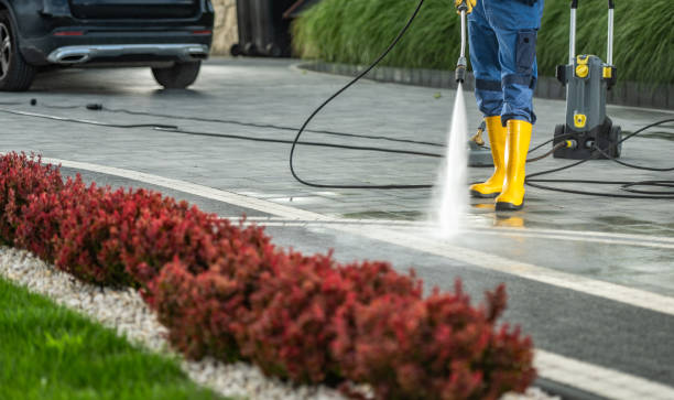 Best Sidewalk and Walkway Cleaning  in Rainbow Springs, FL